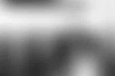 Wedding at Florence Guest Farm