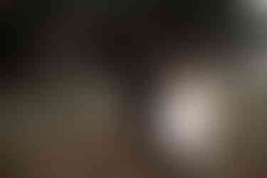 Wedding at Florence Guest Farm