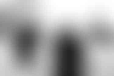 Wedding at Florence Guest Farm