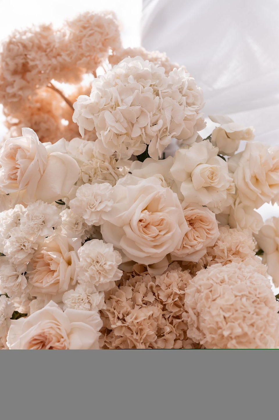 Destination wedding planning in the kruger national park