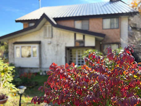 斑尾高原の紅葉