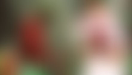 Is sex to blame for Super Eagles' 4:1 loss to Denmark in France '98