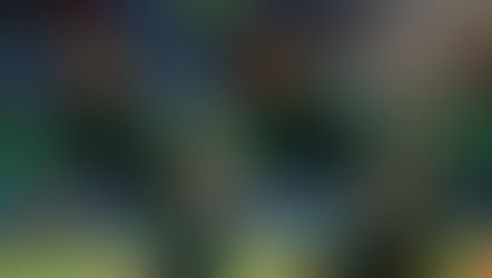 Selfish Golden Eaglets draw Criticisms from Fans