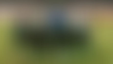 Are The Flamingos Savvy Enough To Fly High In India?