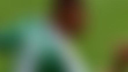 Oliseh,Mikel,Ndidi: which is Nigeria's most dynamic defensive midfielder in the last 30 years?