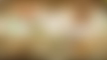 Shocking! Ghana Gives Nigeria Just 2000 Tickets For World Cup Qualifier in a 40,528 Capacity Stadium