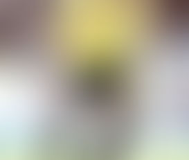 Better days ahead for Isaac Success?