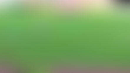 Flamingos Fly First Class to Final Round of U-17 Women World Cup Qualifiers: Nigeria 6:0 Burkina Faso (7:1 on Aggregate)