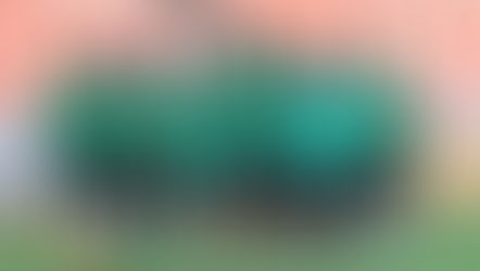 Golden Eaglets : ready to conquer the world (again)!