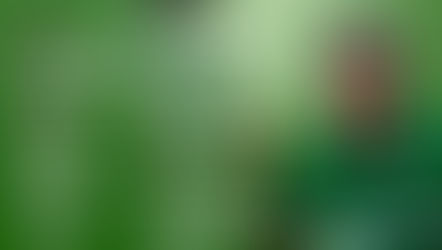 Video Analysis: Can The Super Falcons Vanquish Ivory Coast for Afcon ?