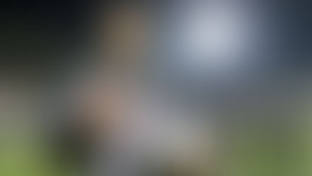 Super Eagles Fans Waiting To See What Dessers Offers