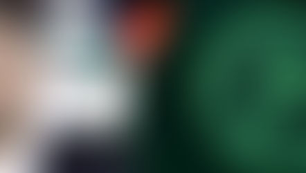 Mladen Krstajić: is he the new Super Eagles coach