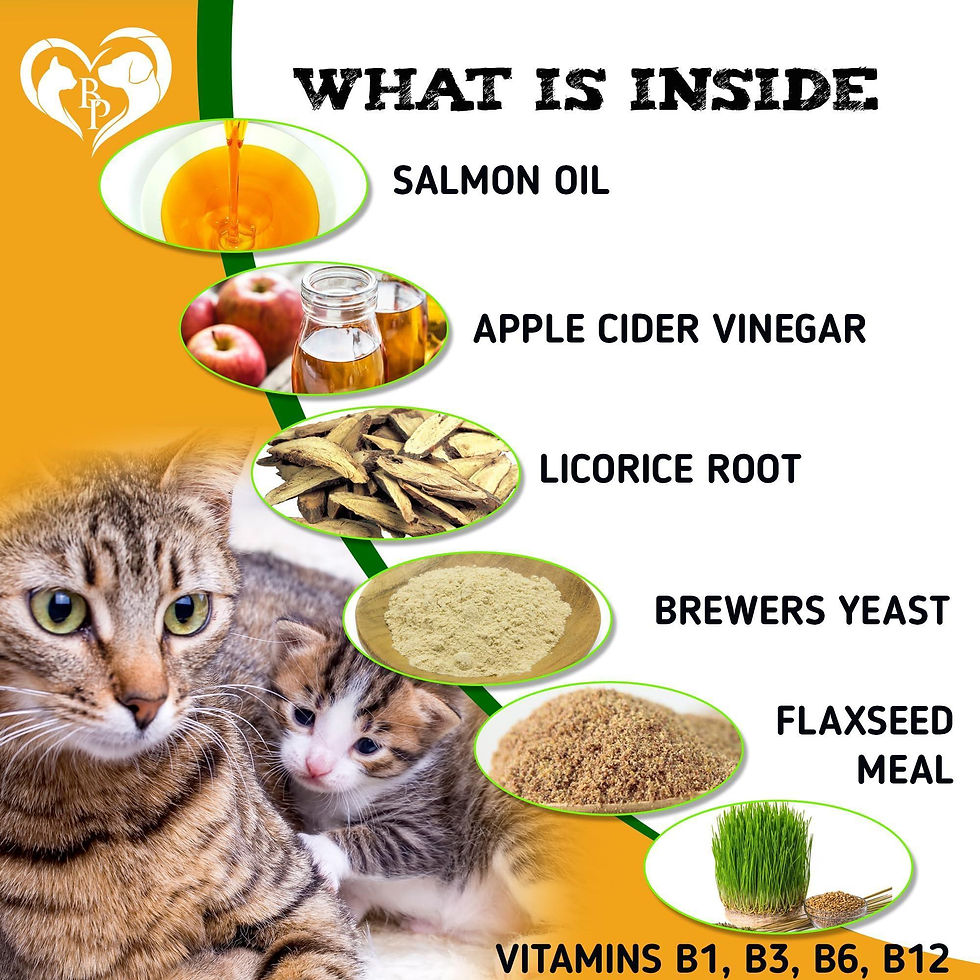 Thumbnail: Insects Prevention Chewable Pills for Dogs and Cats Revolution Pest Control