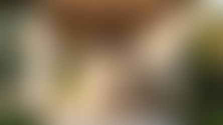 Entdecken Sie unsere preisgünstigen Hausbetreuungsdienstleistungen