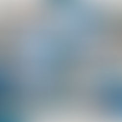 Chamberlain Hardware. Vol 1 Professional Portfolio