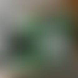 Shark. Honours Portfolio Project