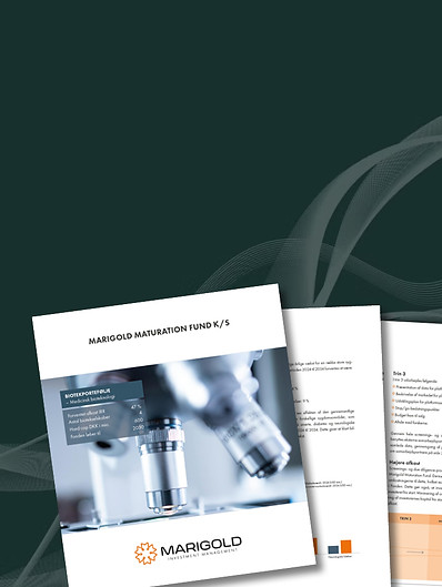 MG request image_1025.jpg