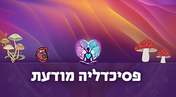 תהליך הליווי הסומטי של בית המימד הפנימי (14).png