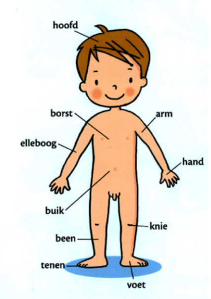 body.png