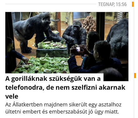 Screenshot 2019-05-23 at 13.15.50.png