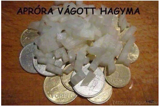 IMG_1030.JPEG