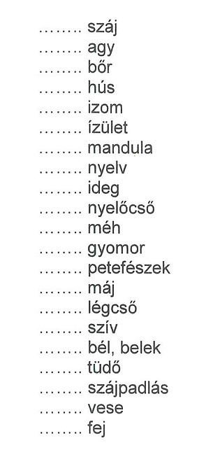 Testrészek gyakorlás.jpg