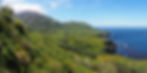 A unique and beautiful island; the fern bush habitat on the lower slopes is home to Atlantic yellow-nosed albatrosses (Kate Lawrence).