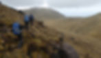 RSPB team hiking into the valley in which 43 chicks survived out of 146 nests (S.Oppel)