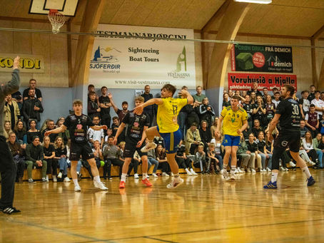 Myndir: VÍF - H71, menn. Triðja finalan