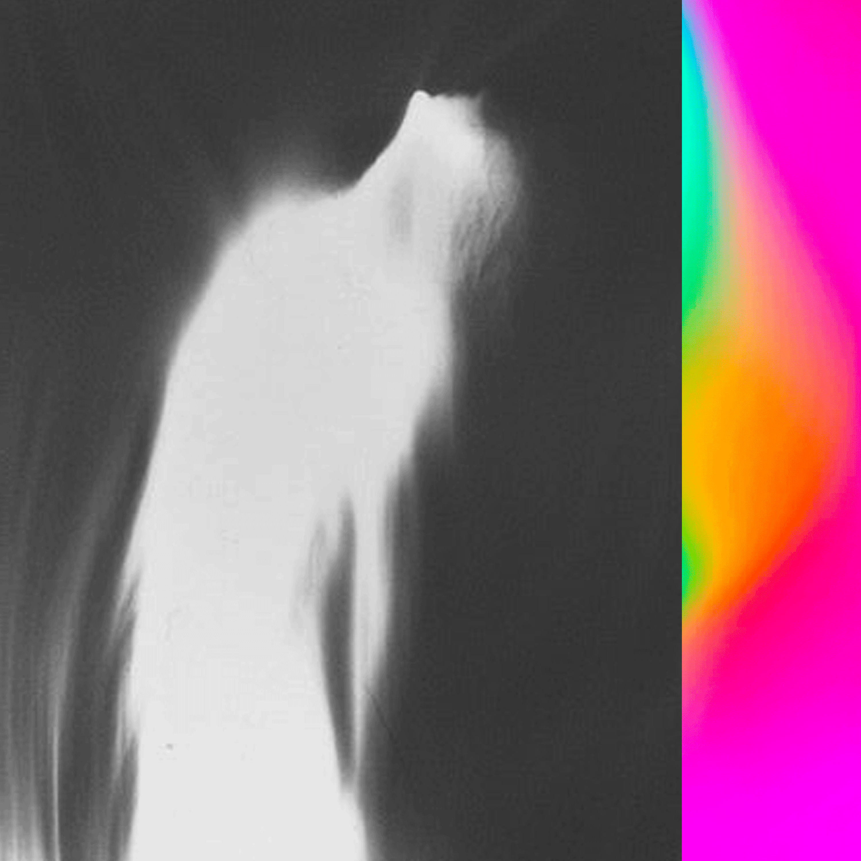 brume cover
