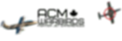 ACM (1).png