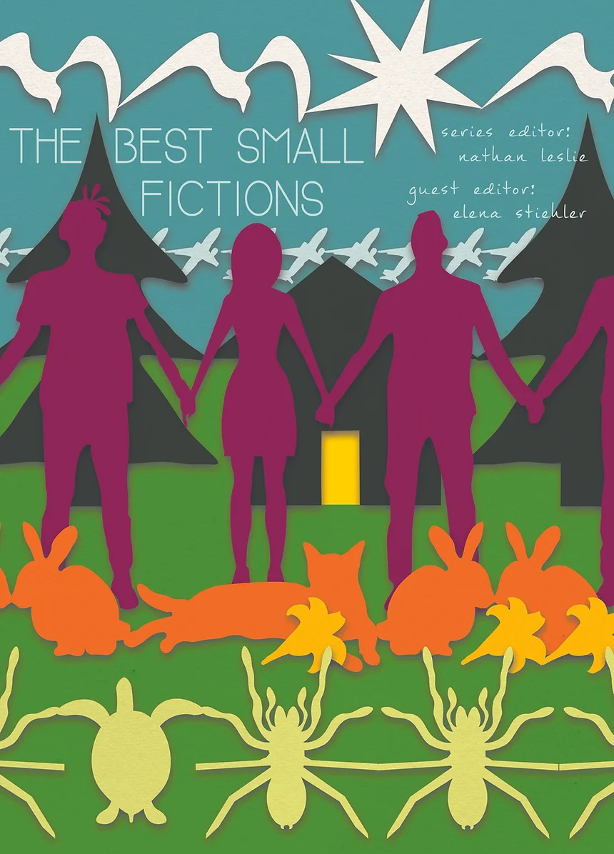 Best Small Fictions 2020 Cover Art Final.webp
