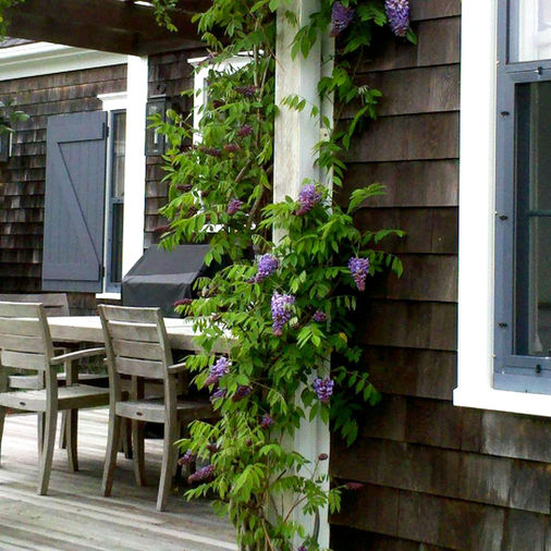 Nantucket Landscaping Companies