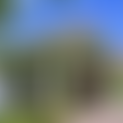 THE VILLAGE OF 'SCONSET NANTUCKET