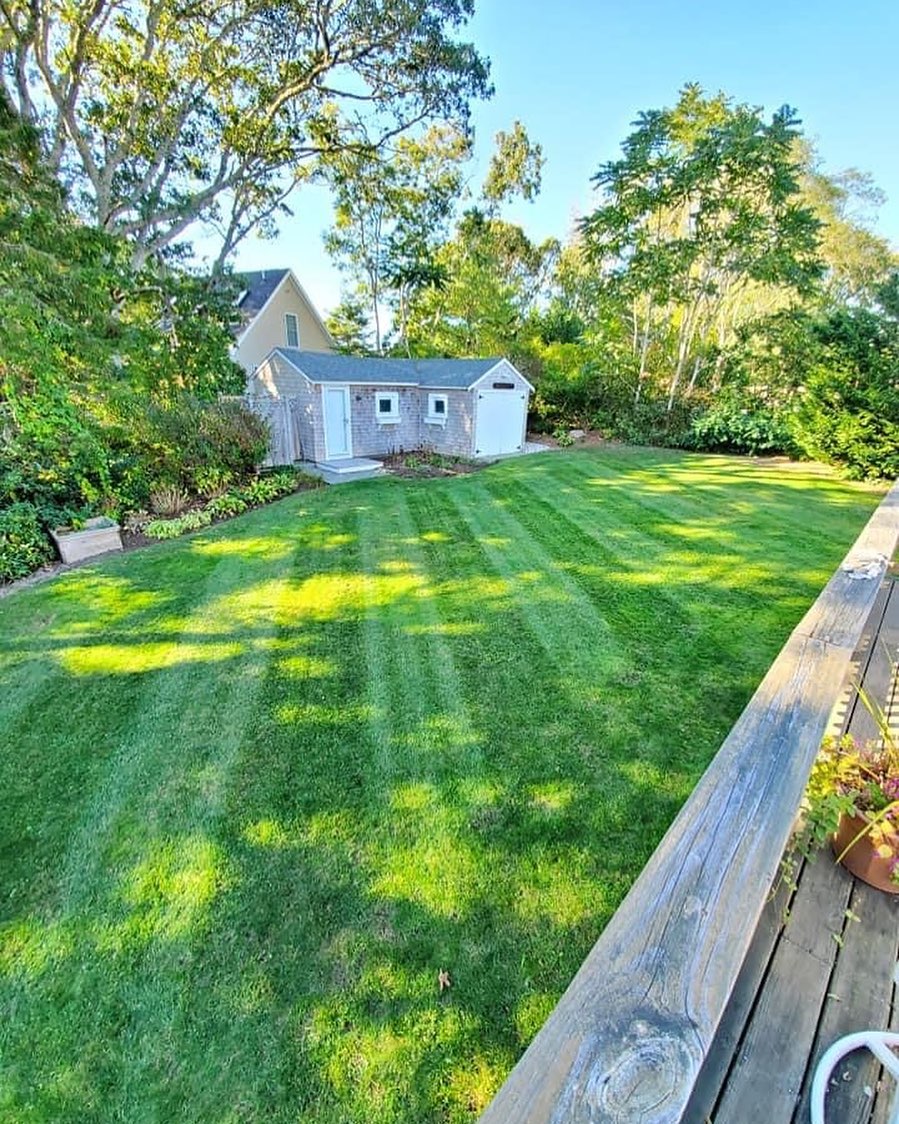 Transform Your Yard: Top Lawn Care Tips From Cape Girardeau Experts