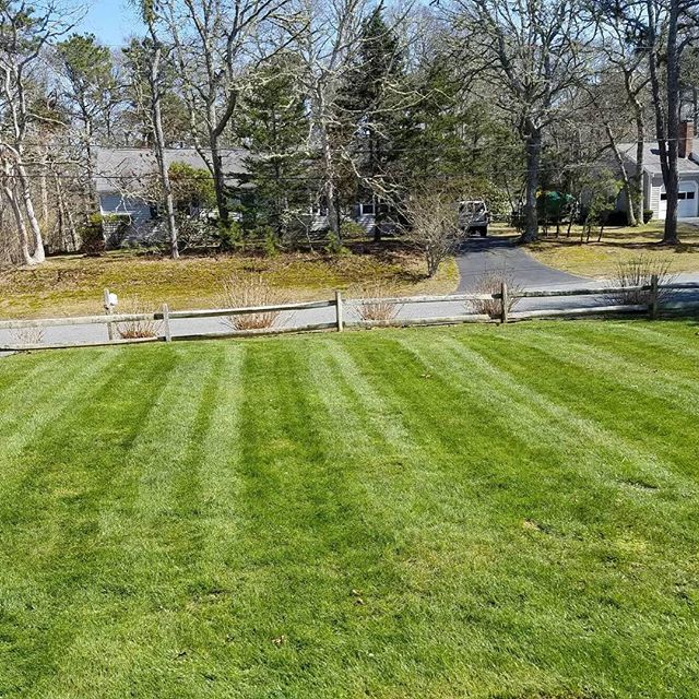 Cape Cod Lawn Mowing