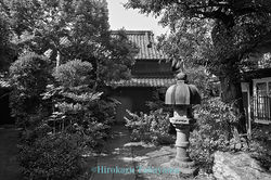 PW3319kmg012_D5dh_0233_5_s