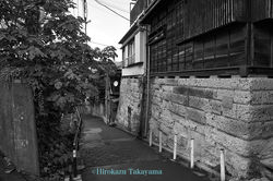 PW3365abm008_DSC5192_2_s