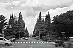 PW3134gen004_Dxd_0026_4_s