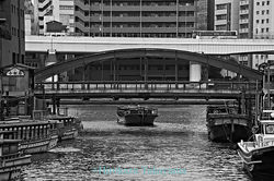 PW2971ygb022_D5dw_581_2_s