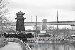 PW3639hyg005_D5dw_0317_5_s