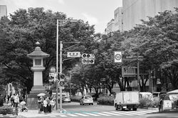 PW3659omt005_Dsdh_0012_6_s