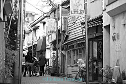 PW2919sug049_Dsdh_0107_2_s