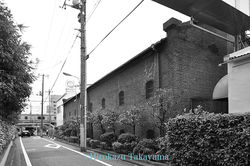 PW3368npe020_D5dw_0508_3_s