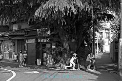 PW2853ike041_Dsdh_156_2_s