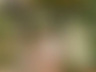 The Elusive Quest: Why Male Birth Control Remains Absent from the Market