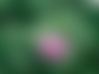 The State of IVF in India: Facts, Myths, and the Connection with Hormonal Birth Control