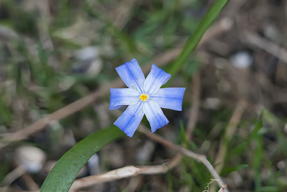 _DSC0576_stack