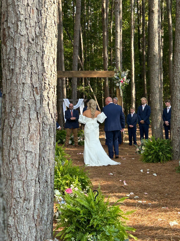 SpringHaus Farm bride walking down aisle in pine tree ceremony space