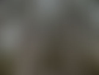 Discover Why Athens, GA is the Ideal Rustic Barn Wedding Venue location